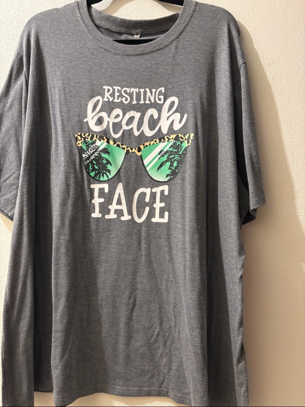 CLOSET CLEAR OUT Resting Beach Face Graphic Tee 4XL - Gray with Teal Accents